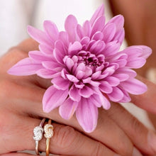 Load image into Gallery viewer, Mini Knot Ring in Yellow Gold with Knot on Top