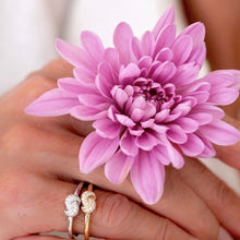 Load image into Gallery viewer, Mini Knot Ring in White Gold with Knot on Top